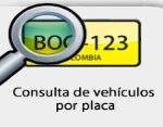 consulta runt por placa