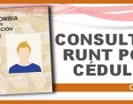 consultar-runt-por-cedula2